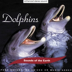 CD Dolphins
