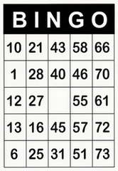 A4 Bingokaarten met grote opdruk