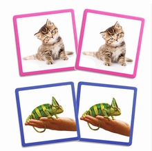 Maxi Memorie Huisdieren