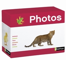Fotodoos Dieren