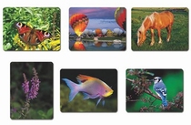 Schilderen met water!, set 1 