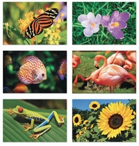 Schilderen met water!, set 2 