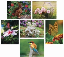 Schilderen met water! In de tuin 